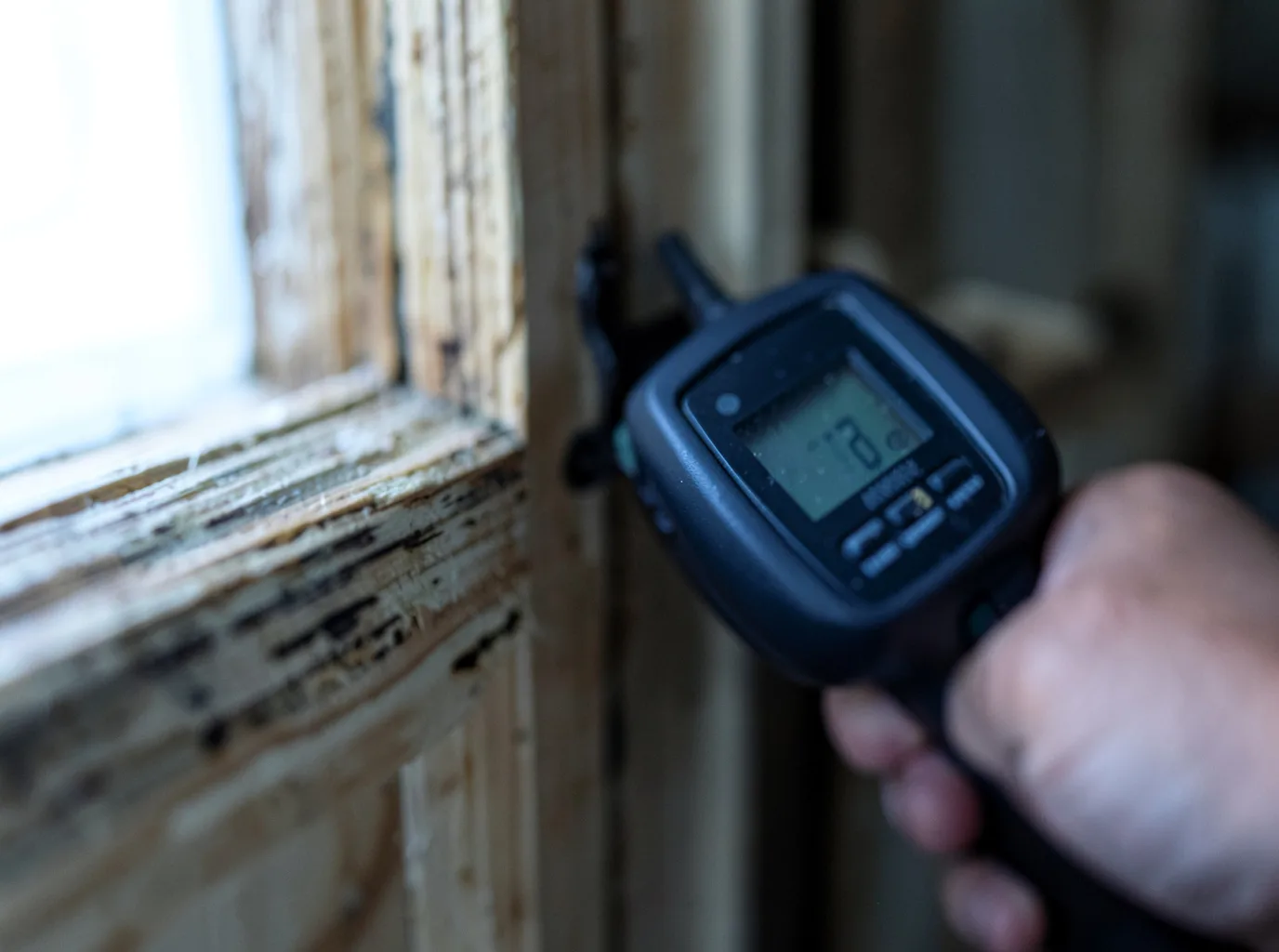 Moisture Inspection And Documentation in Charlo, MT